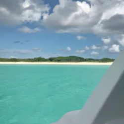 Captain Alan's Marina Bar & Grill - Simpson Bay