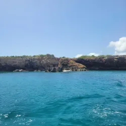 Captain Alan's Marina Bar & Grill - Simpson Bay