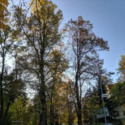 Matej Bel University Botanical Garden - Banska Bystrica