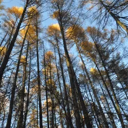 Urpín Hill - Banska Bystrica