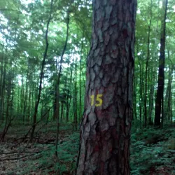 Urpín Hill - Banska Bystrica