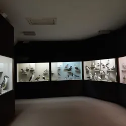 Bardejov Museum - Bardejov