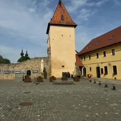 Medieval Tower (Radničná veža) - Bardejov