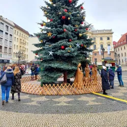 Hviezdoslav Square - Bratislava
