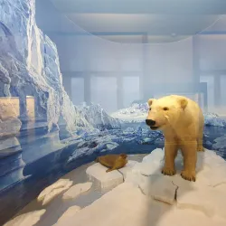 Slovak National Museum - Bratislava