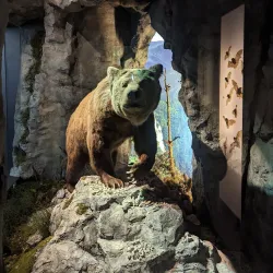 Slovak National Museum - Bratislava