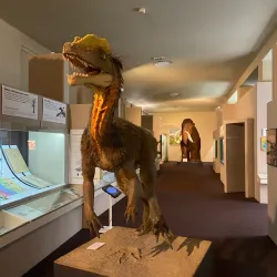 Slovak National Museum - Bratislava