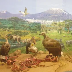 Slovak National Museum - Bratislava