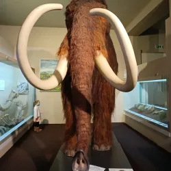 Slovak National Museum - Bratislava