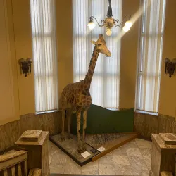 Slovak National Museum - Bratislava