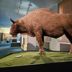 Slovak National Museum - Bratislava