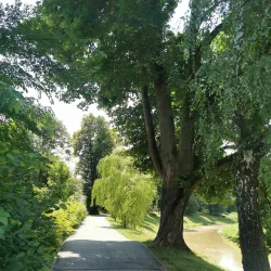 Čadca Town Park - Cadca