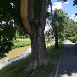 Čadca Town Park - Cadca