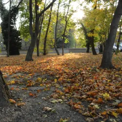 Danube River Walk - Dunajska Streda