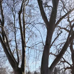 Danube River Walk - Dunajska Streda