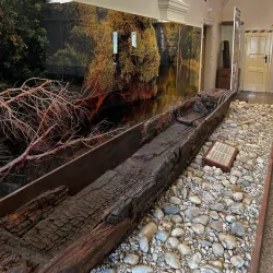 Dunajská Streda Museum - Dunajska Streda