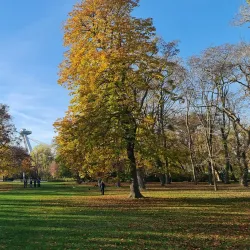 Janko Kráľ Park - Dunajska Streda