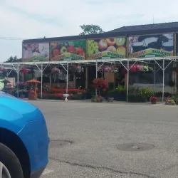 Local Market Square - Dunajska Streda