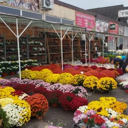 Local Market Square - Dunajska Streda