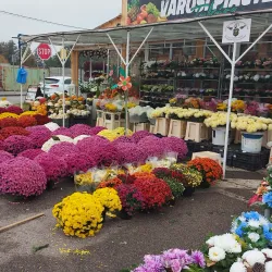 Local Market Square - Dunajska Streda