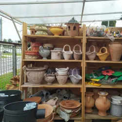 Local Market Square - Dunajska Streda