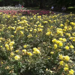 Statue of Janko Kráľ - Dunajska Streda
