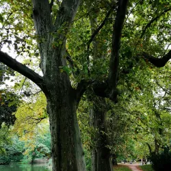 City Park (Mestský park) - Hlohovec