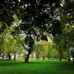 City Park (Mestský park) - Hlohovec