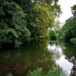 City Park (Mestský park) - Hlohovec