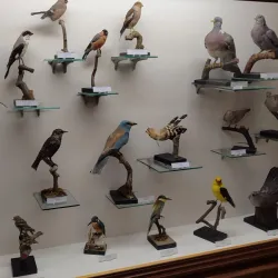 Hlohovec Museum - Hlohovec