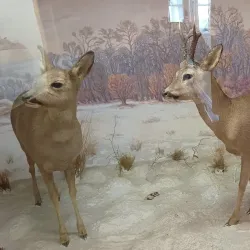 Hlohovec Museum - Hlohovec