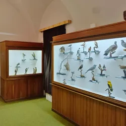 Hlohovec Museum - Hlohovec