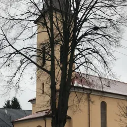 Synagogue in Hlohovec - Hlohovec