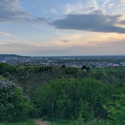 Vážska River Walk - Hlohovec