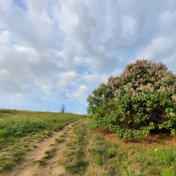 Vážska River Walk - Hlohovec