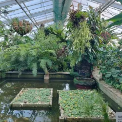 Botanical Garden of Pavol Jozef Šafárik University - Kosice