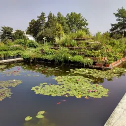 Botanical Garden of Pavol Jozef Šafárik University - Kosice