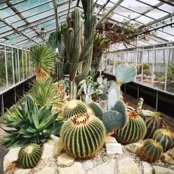 Botanical Garden of Pavol Jozef Šafárik University - Kosice