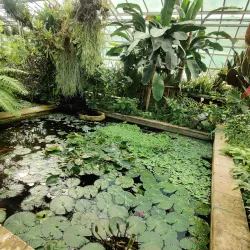 Botanical Garden of Pavol Jozef Šafárik University - Kosice