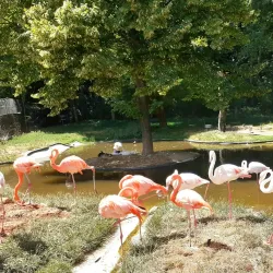 Kosice Zoo - Kosice