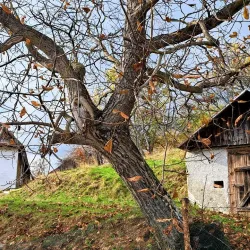 Zlatá Idka Nature Reserve - Krompachy
