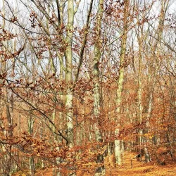 Zlatá Idka Nature Reserve - Krompachy