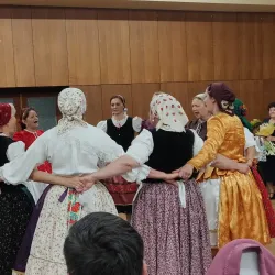 Cultural House Levice - Levice