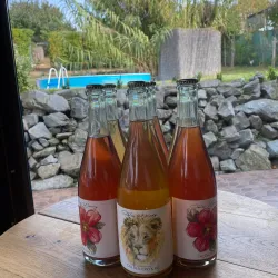 Levice Wine Cellars - Levice