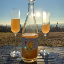 Levice Wine Cellars - Levice