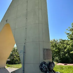 Levice Wine Cellars - Levice