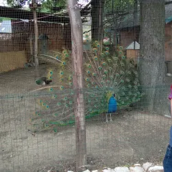 Mestský Park (City Park) - Levice