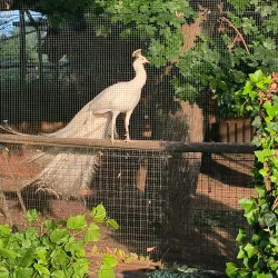 Mestský Park (City Park) - Levice