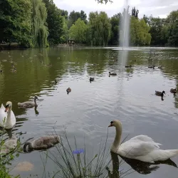 Mestský Park (City Park) - Lucenec