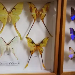 Zichy Palace - Lucenec